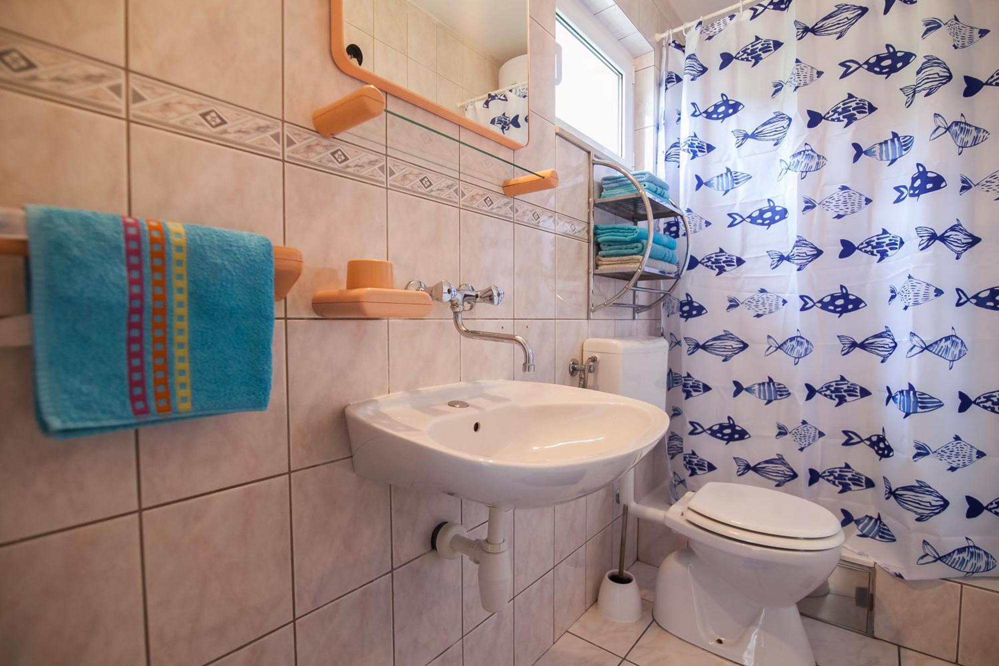 Apartments Paula بول المظهر الخارجي الصورة